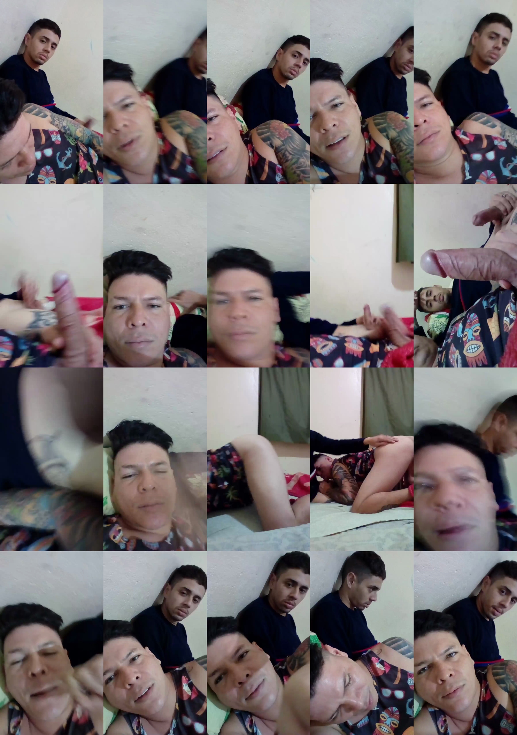 moises304  01-03-2022